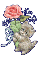 photo Blume102.gif