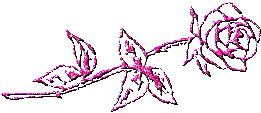 photo Blume111_000.gif