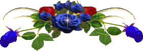 photo Blume720.gif