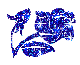 photo Blume903.gif