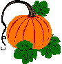 photo Pumpkin32.gif