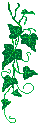 photo Ranke_2.gif