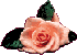 photo bild9.gif