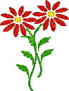 photo blume_406.gif