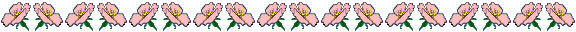 photo blumenlinie6.gif