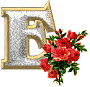 photo bz04449.gif