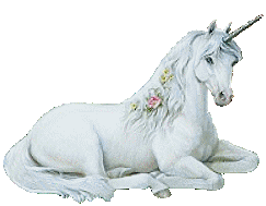 photo einhorns-1.gif