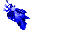 photo g00068.gif