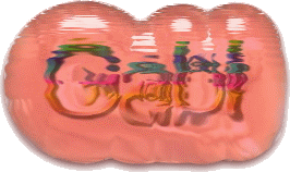photo gabi00036.gif