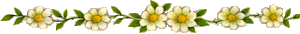 photo gelbelinie.gif