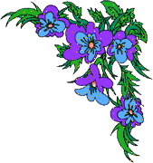 photo glitzer00057.gif