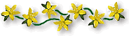 photo johranke2_kl.gif