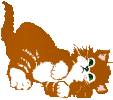 photo katze48.gif