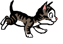 photo n-kitty.gif