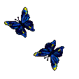 photo papillons-13.gif