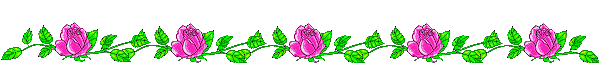 photo roses.gif