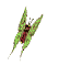photo schmetterling-35.gif