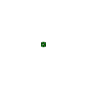 photo silvester00015.gif