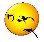 photo sonne00042.gif