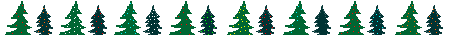 photo w-03.gif