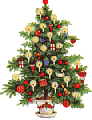 photo w-baum094.gif