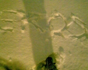 photo Fotografie195.jpg