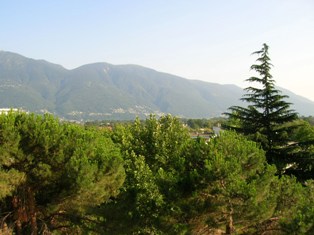 photo aaLoc.jpg