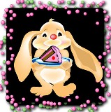 photo lapin.jpg