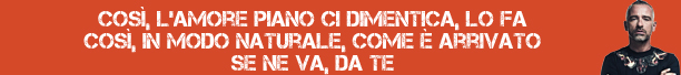 photo noi_banner_45.jpg