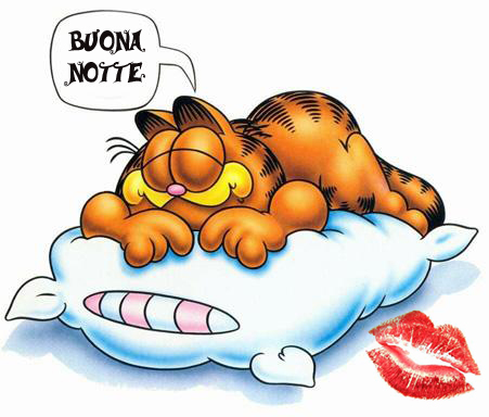 photo buonanotte.jpg
