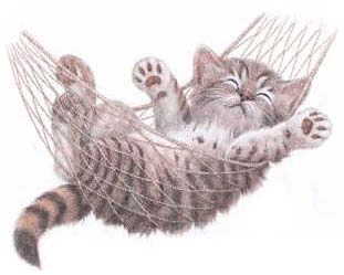 photo gattoamacahl7.gif