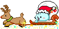 photo renna.gif