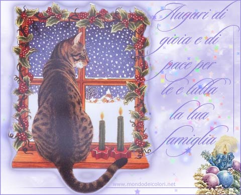 photo auguri.jpg
