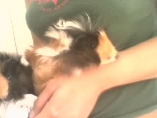 photo RUFIO.jpg