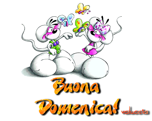 photo bdomenicadiddl.gif